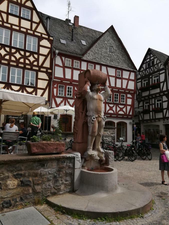 Vila Ferienhaus Am Park Diez Exteriér fotografie